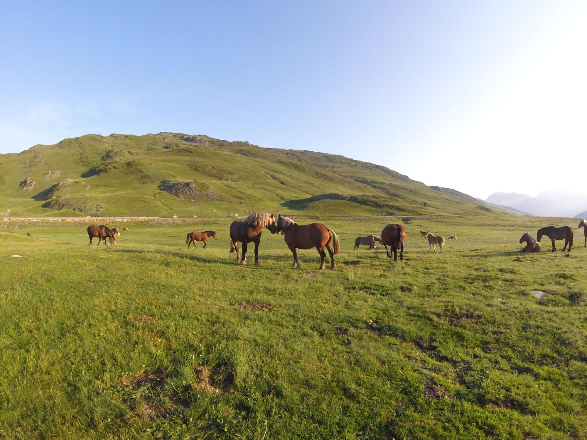 Apartamentos Snoe Mont Romies Unhola Salardú Exteriér fotografie